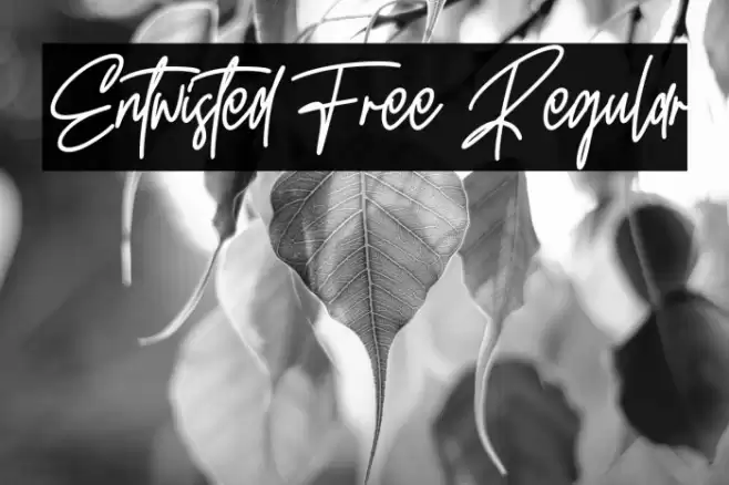Entwisted Free Regular Font examples
