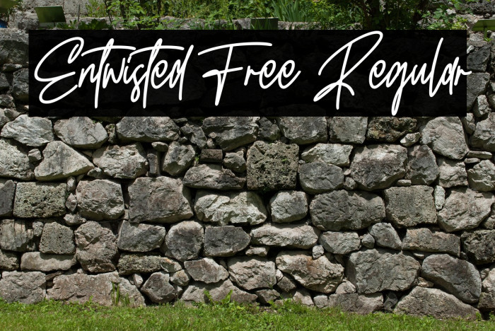 Entwisted Free Regular Example 2