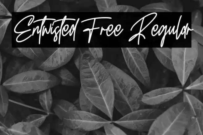 Entwisted Free Regular Font examples