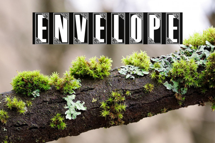 Envelope Example 3