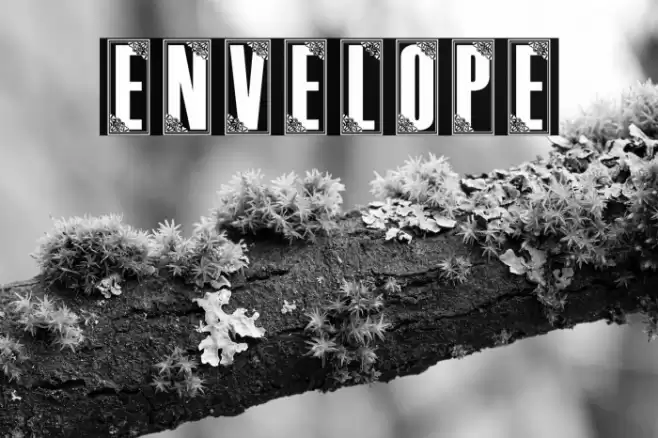 Envelope خط examples