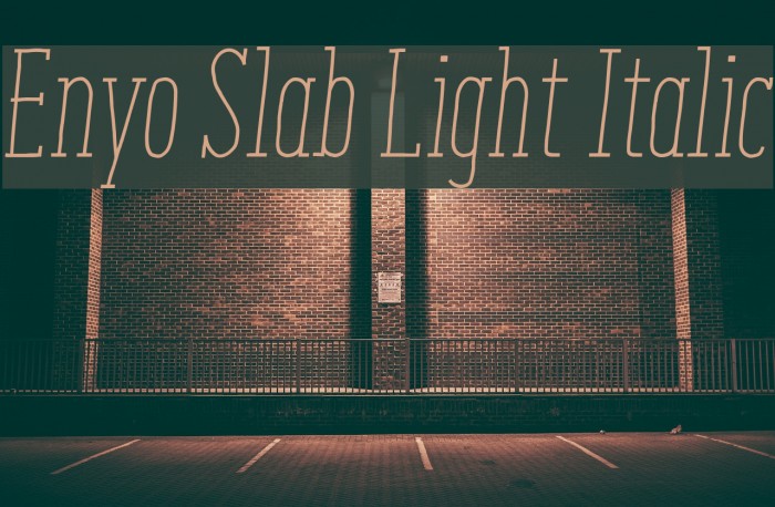 Enyo Slab Light Italic Example 1