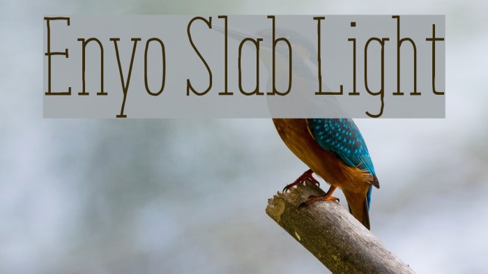 Enyo Slab Light Example 2