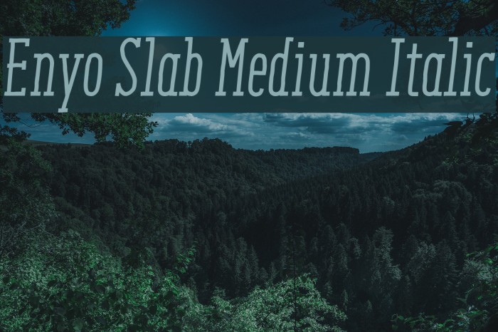 Enyo Slab Medium Italic Font examples