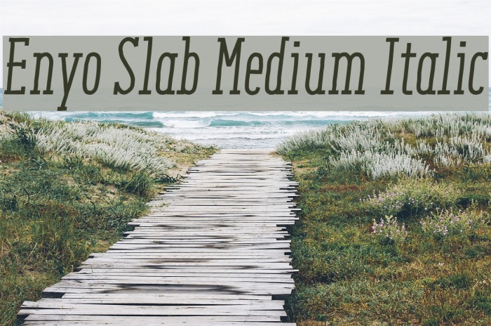 Enyo Slab Medium Italic Font examples