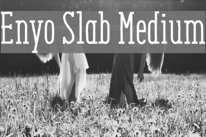Enyo Slab Medium Font examples
