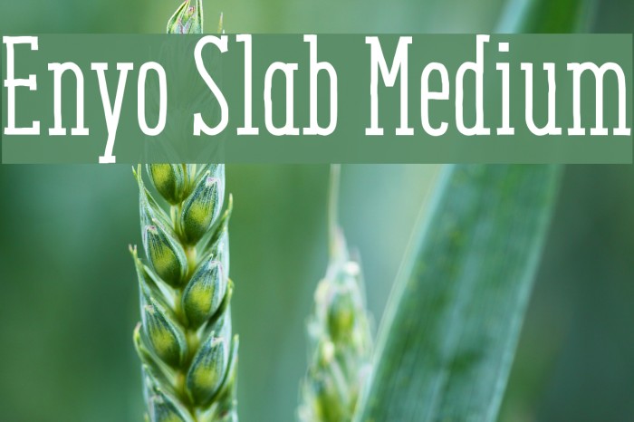 Enyo Slab Medium Example 3