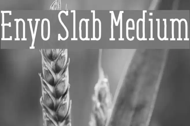 Enyo Slab Medium Font examples