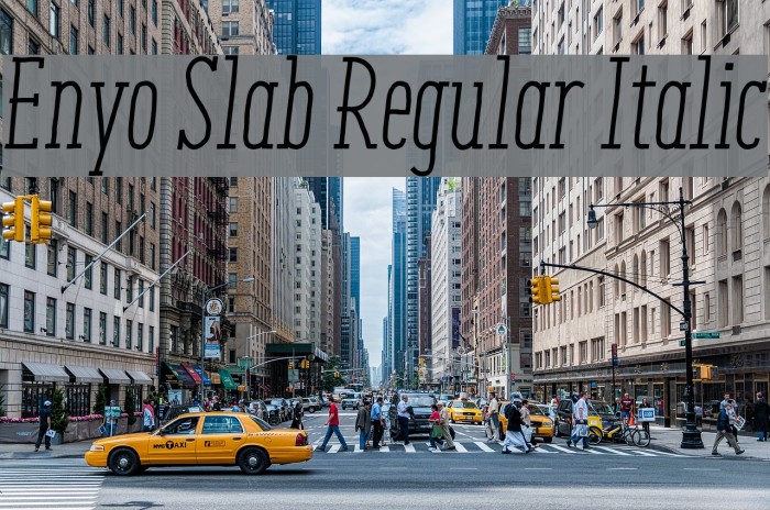 Enyo Slab Regular Italic Example 1