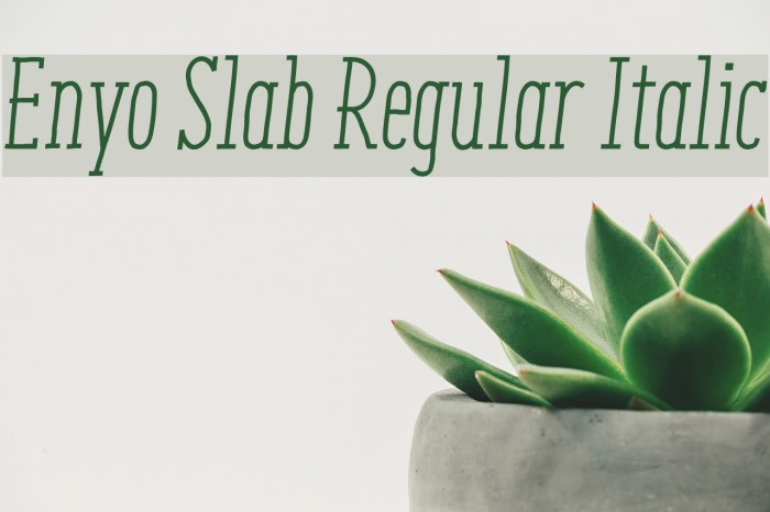 Enyo Slab Regular Italic Example 3