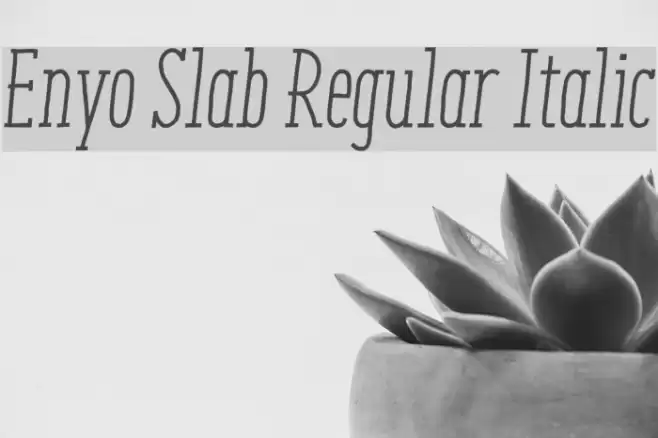 Enyo Slab Regular Italic Font examples