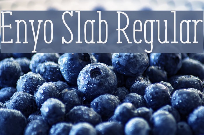 Enyo Slab Regular Font examples