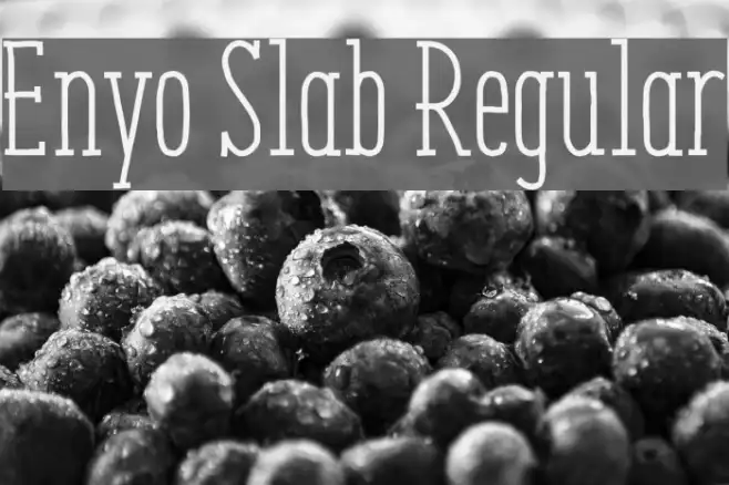 Enyo Slab Regular Example 1