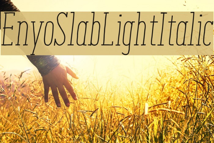 EnyoSlabLightItalic Font examples