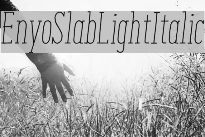 EnyoSlabLightItalic Example 1