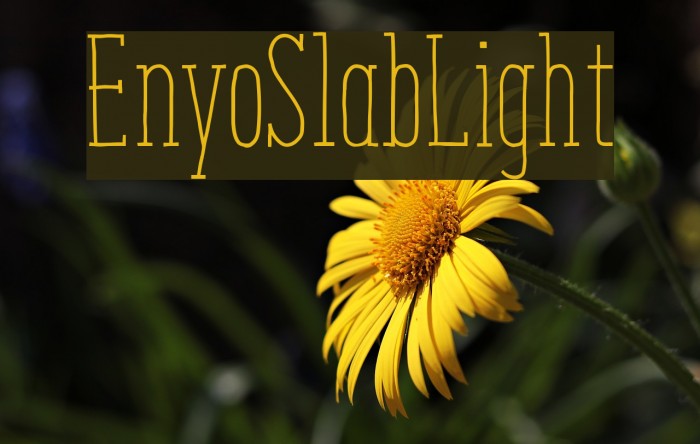 EnyoSlabLight Font examples