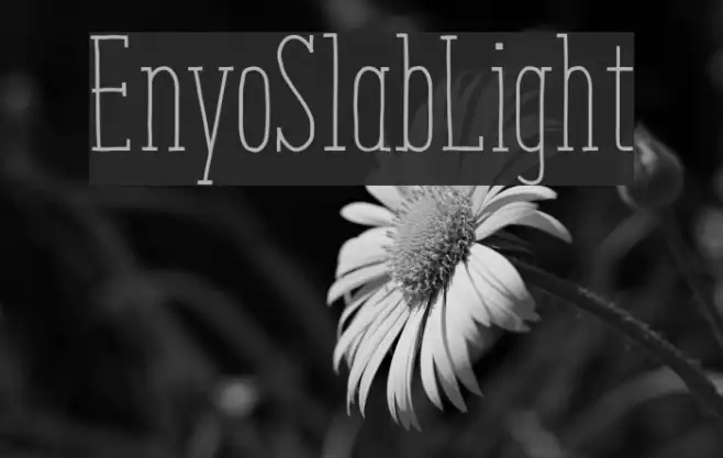 EnyoSlabLight Example 2