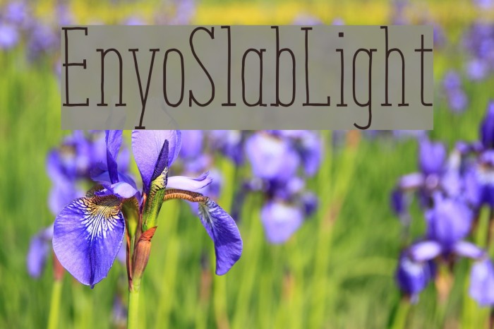 EnyoSlabLight Font examples