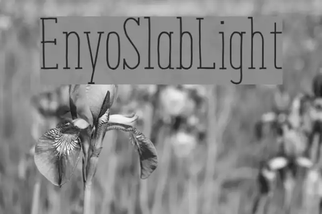 EnyoSlabLight Example 3