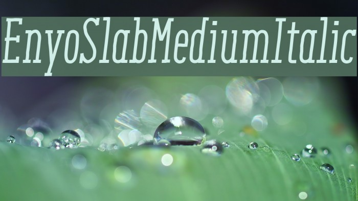 EnyoSlabMediumItalic Font examples