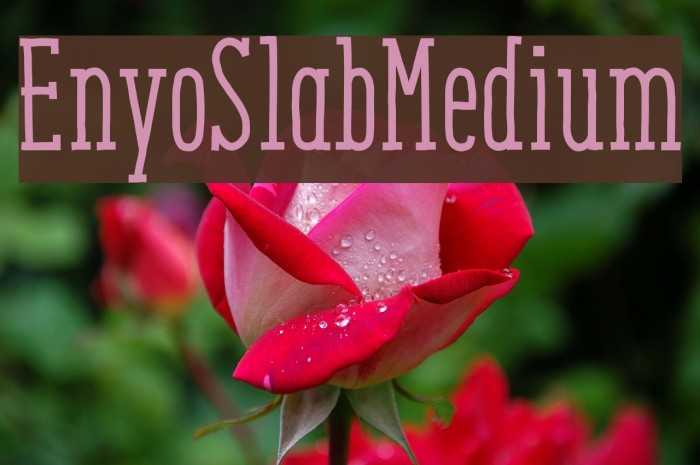 EnyoSlabMedium Font examples
