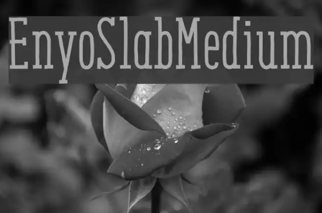 EnyoSlabMedium Example 1