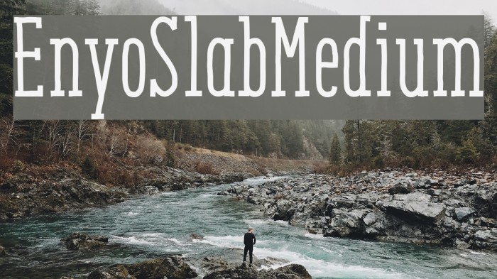 EnyoSlabMedium Font examples