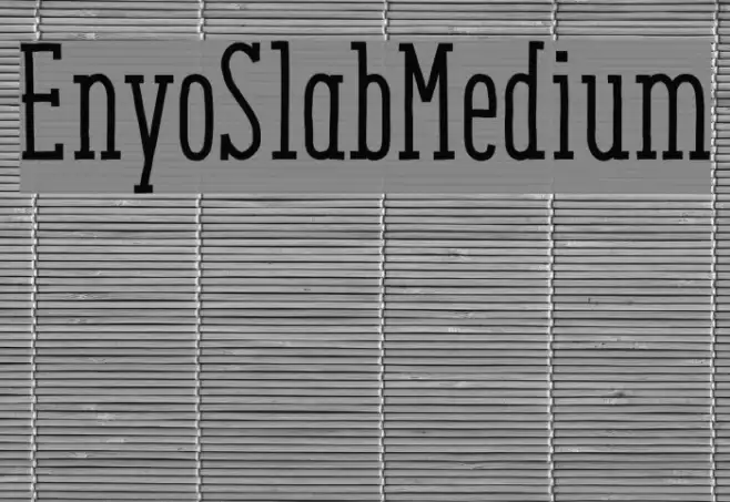EnyoSlabMedium Example 3