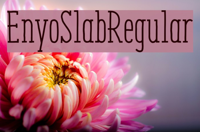 EnyoSlabRegular Font examples