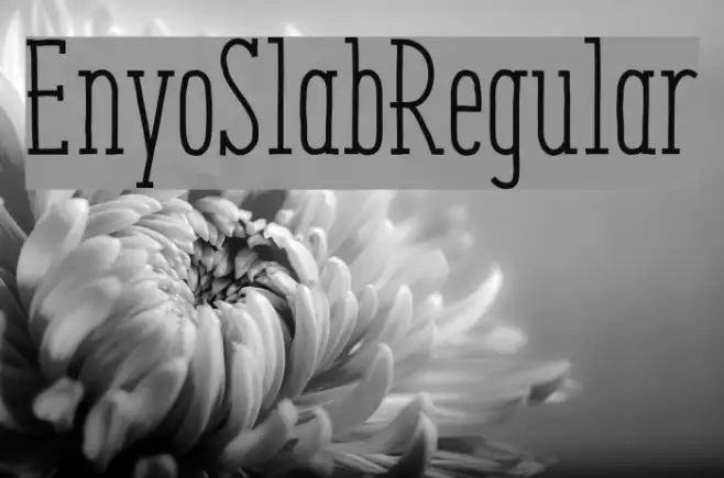 EnyoSlabRegular Example 1