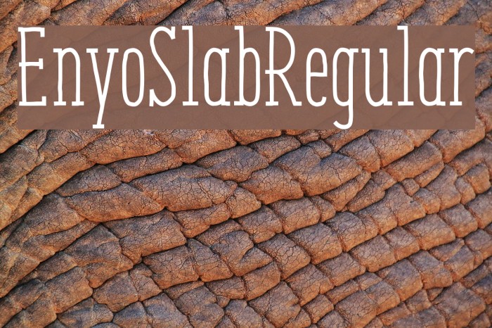 EnyoSlabRegular Font examples
