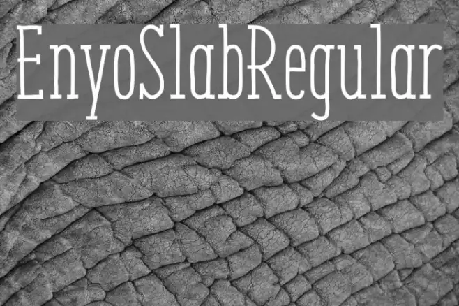 EnyoSlabRegular Example 2