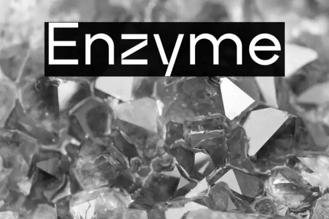 Enzyme Font examples