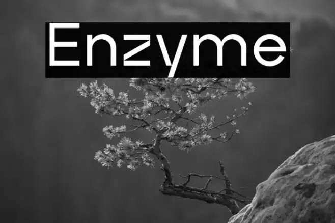 Enzyme Font examples