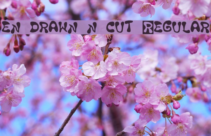 en drawn n cut Regular Fonte examples