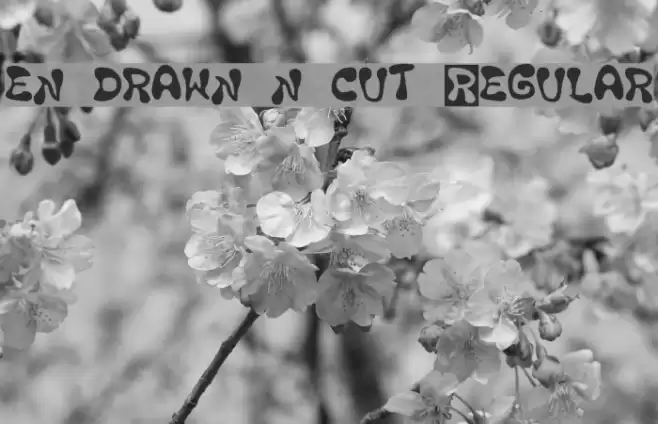 en drawn n cut Regular Polices examples