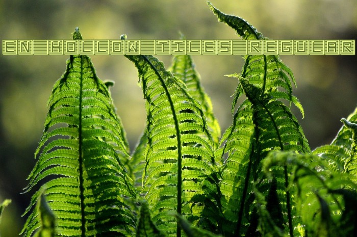 en hollow tiles Regular لخطوط تنزيل examples