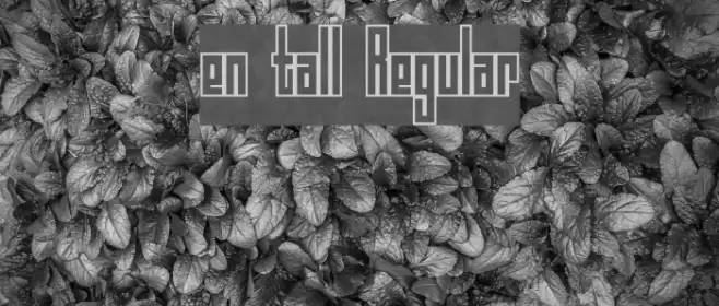en tall Regular फ़ॉन्ट examples
