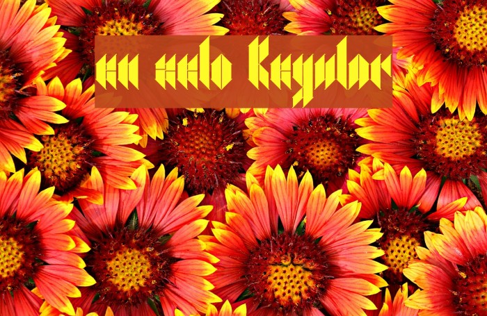 en zelo Regular Example 2