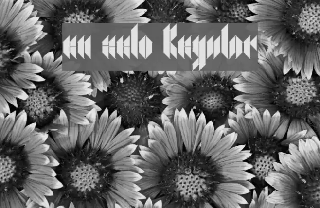 en zelo Regular Font examples