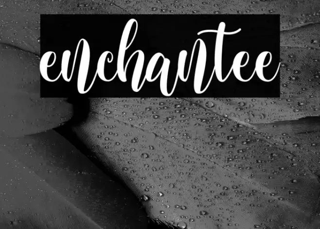 enchantee Font examples