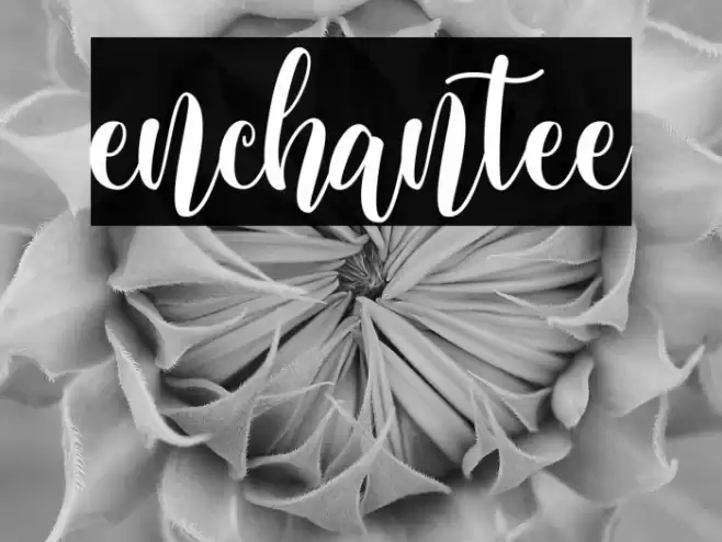 enchantee Font examples