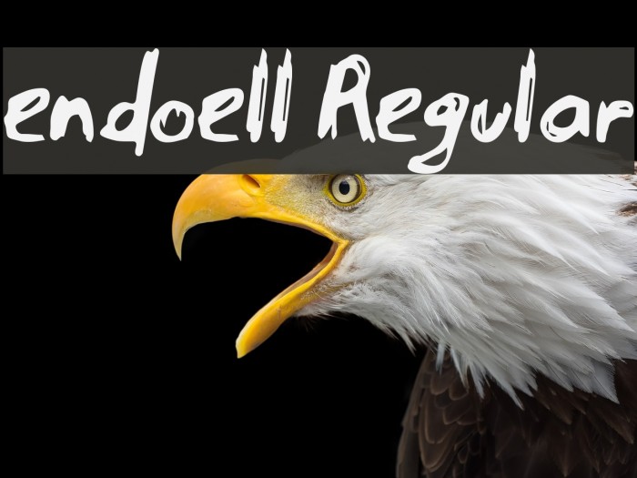 endoell Regular Example 2