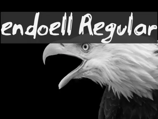 endoell Regular Font examples