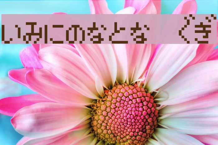 enikusu HG Example 2