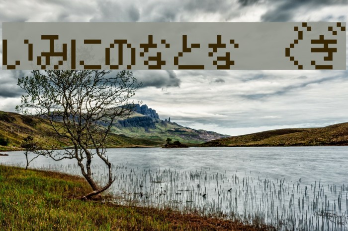 enikusu HG Example 3