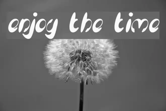enjoy the time Font examples