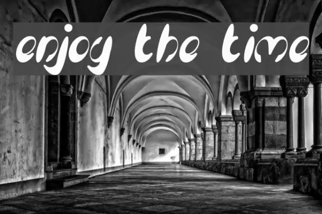 enjoy the time Font examples