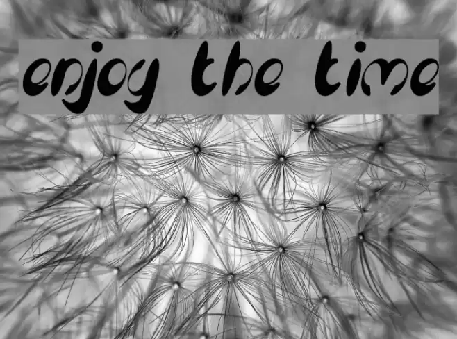 enjoy the time Font examples