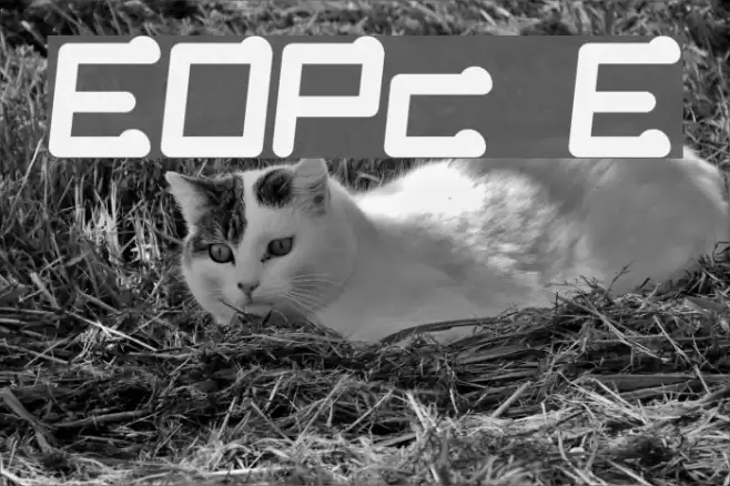 EOPcoupon E Font examples